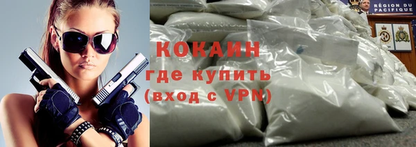 стаф Осинники